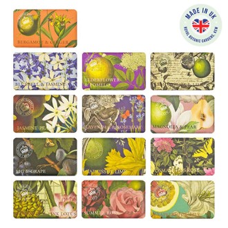 ť���� �����