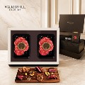 ��Ŀ������ �����ѿ� �ɵ�� ���� and ������ũ ��Ʈ(600g/1���)